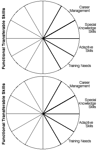 Alternate Groupings of Skills Wheels - Life Work Transitions