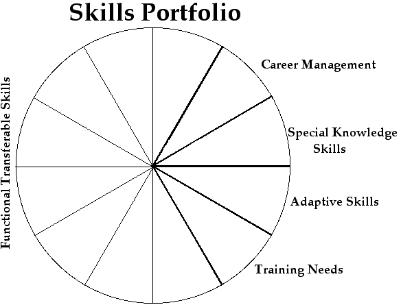 Skills Portfolio Wheel - Life Work Transitions